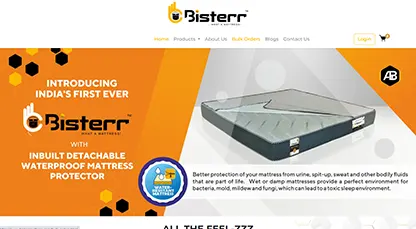 Bisterr Mattress