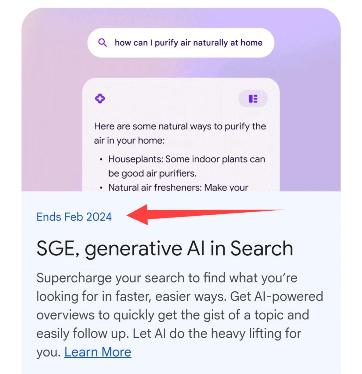 End of SGE (Search Generative Experience) in India on February 2024